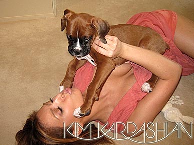 Kim Kardashian: My Dog Rocky Is Just Like Me, 'Cool and Calm'