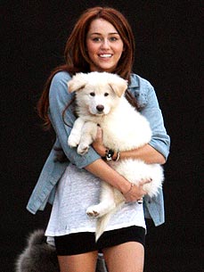 New Dog Alert: Miley Cyrus Welcomes Pup Mate