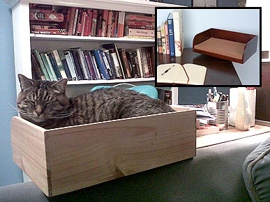 Thursday's Funny Video: Paranormal Cattivity!