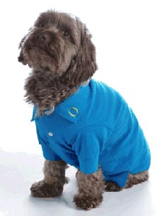 Check Out the Oprah Store's New Playful Pet Gear