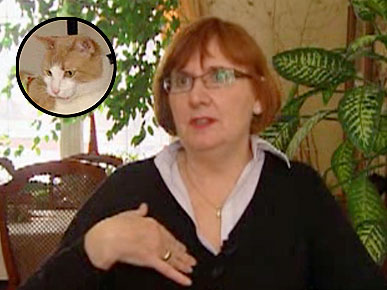 Sumo the Cat Detected My Breast Cancer, Owner Says