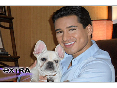 Mario Lopez Welcomes a French Bulldog!