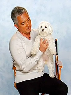 Ask Ethel: Ethel Meets the Dog Whisperer