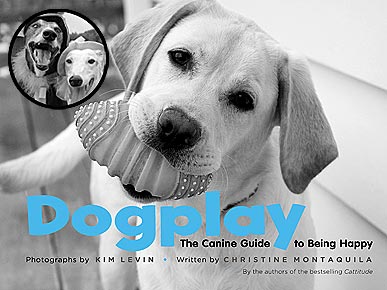 'Dogplay' Teaches Us What Pups Already Know
