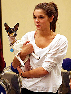Ashley Greene: Dog Marlo Is My 'Constant'