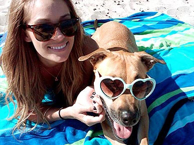 Lauren Conrad's Dog Eats Costumes, Not Candy on Halloween