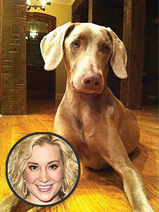 Meet Tucker! Kellie Pickler's New Weimaraner Puppy