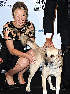 Kristen Bell's Pet Project: Raising Funds for Special Needs Animals