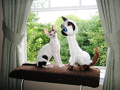 Animal D'Oh! Eston the Cat Meets His Stuffed Twin
