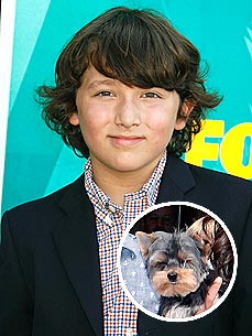 Who's Kissing the Youngest Jonas Brother? New Pup Riley