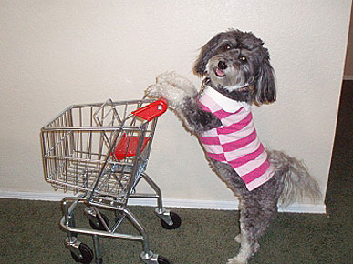 Congrats, Kagey! You Win This Week's Caption Contest