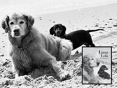 Luna & Lola: A Photographer's Ode to Her Beloved Dogs