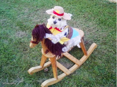 Caption Contest: Is That a Dog on a Horse?
