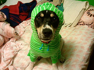 Three Cheers for Last Week's #Cutepic Winners!