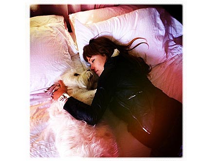 Olivia Wilde's Boyfriend: Her Dog