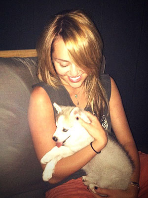 Miley Cyrus Gets a New Puppy!