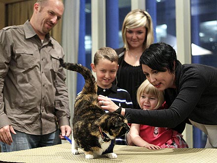 Willow the Cat Reunites with Her Owners!
