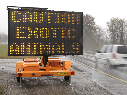 Zanesville Ohio News: Dangerous Animals on the Loose