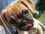 July's Cutest of the Cute!