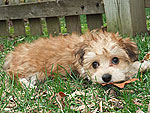 September's Cutest of the Cute!