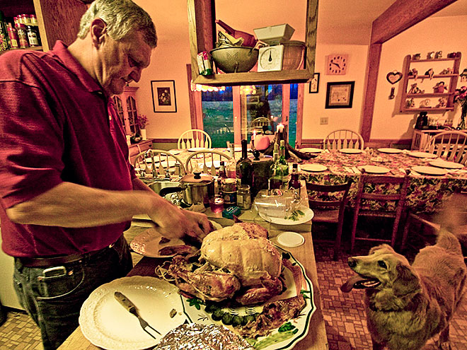 Pet vs. Turkey: 22 Hungry Stare-Downs