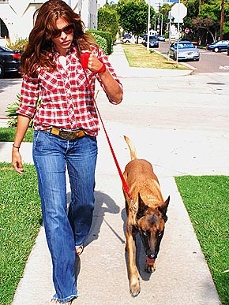 Eva Mendes's Around-the-Clock Bodyguard: Her Dog, Hugo