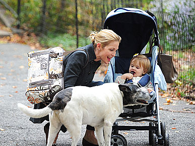 Kelly Rutherford's Dog Might Be a Socialite