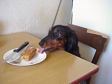 Congrats, Holly! You Won This Week's Caption Contest