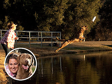 Catch Never-Before-Seen Animal Moments on PBS's 'Wild Kratts'
