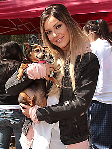 Lacey Schwimmer Falls in Love – with a Rescue Dog!