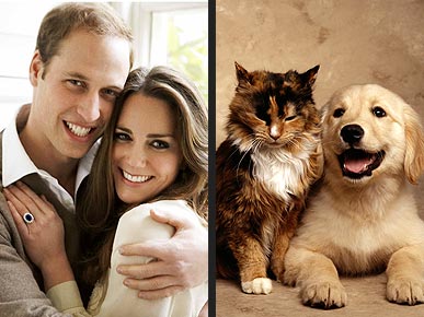 Cat People Love ... Prince William (and Cats)!