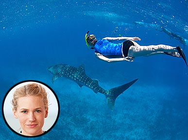 January Jones: A Real 'Shark' About Saving Marine Life