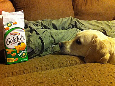 Congrats, Jill! You Win This Week's Caption Contest