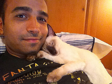 Meows You Can Use: Citizen Correspondent to Tell Cat Tales