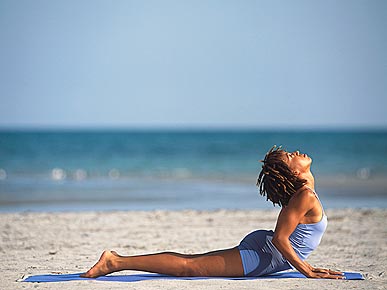 The Nature of Yoga: Watching Dolphins While Doing the Downward Dog