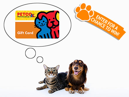 Giveaway! People Pets Daily Prize Pack Sweepstakes