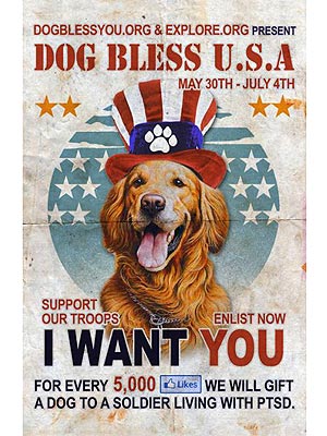 Give a U.S. Vet a Service Dog by 'Liking' a Facebook Page