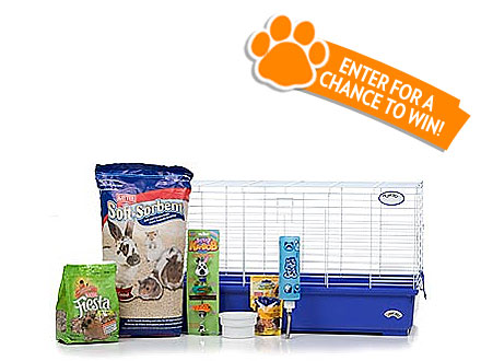 Giveaway! People Pets Daily Prize Pack Sweepstakes