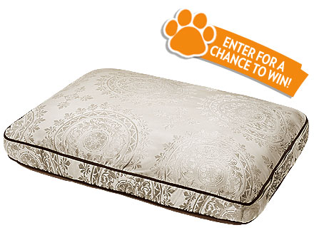 Giveaway! People Pets Daily Prize Pack Sweepstakes