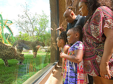 Spotted: Reverend Run Visits Cheetah Run!