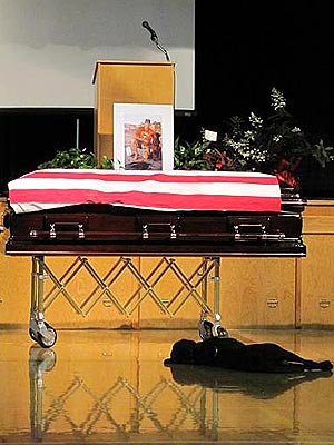 Fallen Navy SEAL's Dog May Honor Veterans with Iowa Hawkeyes