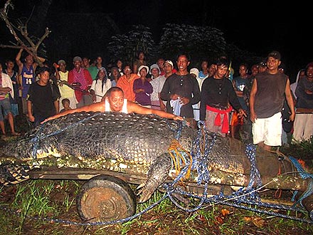 Giant Crocodile Captured in Philippines