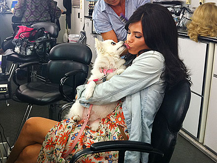 Playboy Club Jenna Dewan Takes Dog on Set