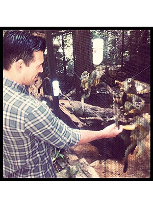 LeAnn Rimes, Eddie Cibrian at Playboy Mansion with Monkeys: Photo