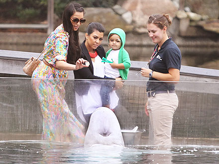 Kim, Kourtney Kardashian at Mystic Aquarium: Photo