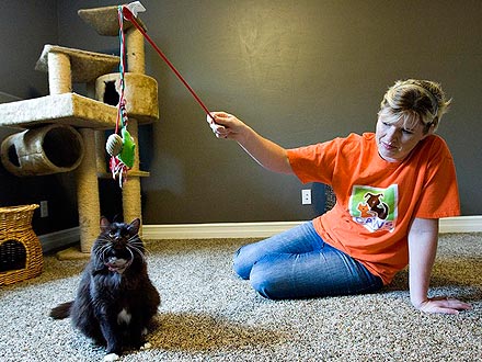 Cat Beats Death Twice – and Gets Another Happy Ending