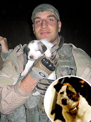 Veterans Day: Fallen Soldier's Dog Visits Grave