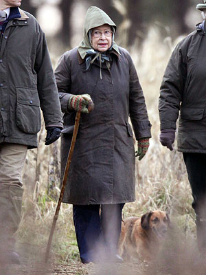 Queen Elizabeth's Dogs Struck by Mystery Illness