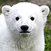 Biggest Animal Headlines of the Year