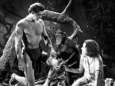 Cheetah, Tarzan Chimpanzee, Dies at 80